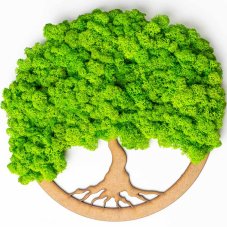 Copac de mușchi - Verde deschis