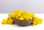 Stabilisiertes Moos - Flechte - Gelb - Gewicht: 1kg