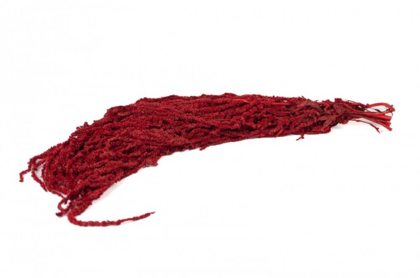 Stabilisierter Amaranth - Rot - Größe: Beutel (20g)