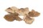 Fungo essiccato - Marrone - Tipo di fungo: Pezzo grande (10-15 cm)