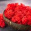 Muschio stabilizzato - lichene - Rosso - Peso: 5kg