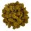 Muschio stabilizzato purificato - lichene -  Limone - Finlandese - Peso: 500g