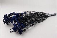 Stabilizovaný ryžový kvet - Kráľovská modrá