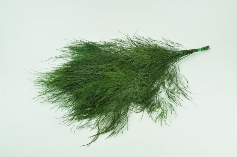 Stabilizovaná okrasná tráva "Tiki"