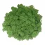 Muschio stabilizzato - lichene - Verde prato - Peso: 500g