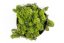 Muschio stabilizzato - lichene - Verde medio - Peso: 500g