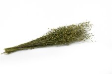 Lino essiccato - Verde naturale