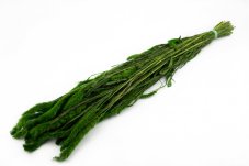 Stabilizovaná Setaria - 150g
