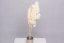 Stabilisierte Hortensie Grandiflora - Creme