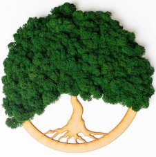 Copac de mușchi - Verde pin