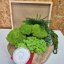 DIY sada na machový obraz - 30x40cm - Farba rámu: Smrek, Farba kopčekového machu: Svetlo zelená