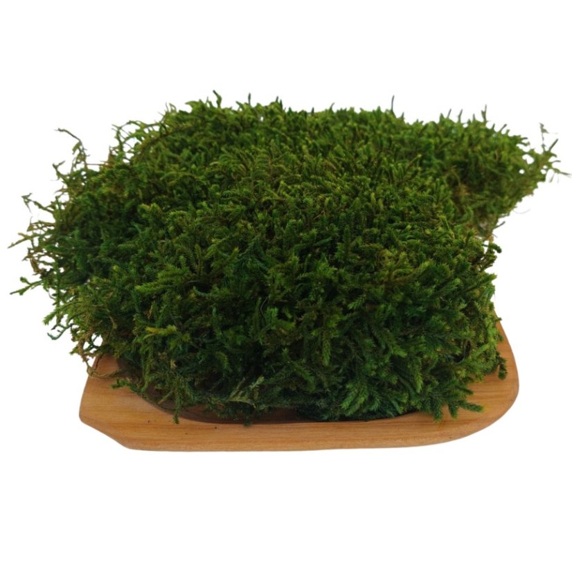 Plochý mech - Přírodní zelená PREMIUM - Hmotnost: cca 2kg (1,5m²)