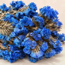 Flori stabilizate Limonium - Albastre
