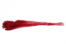 Stabilizované kvety Broom - Červené