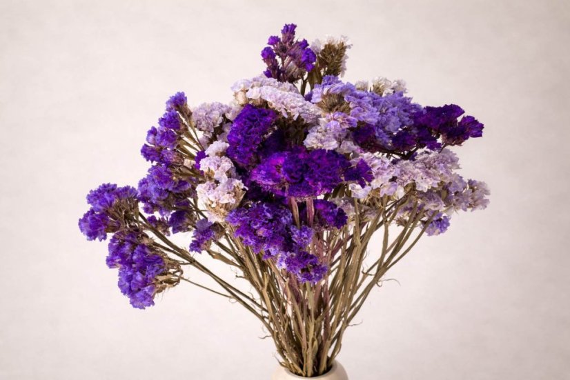 Posušeno cvetje Limonium – barvna mešanica