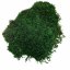 Plochý mach - Francúzsky - Tmavá zelená - Váha: 1kg