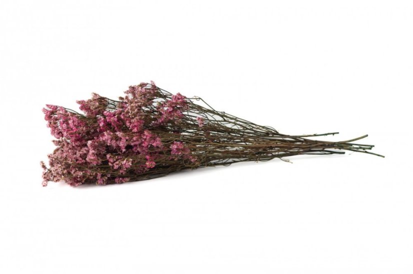 Stabilizované kvety Limonium - Ružové