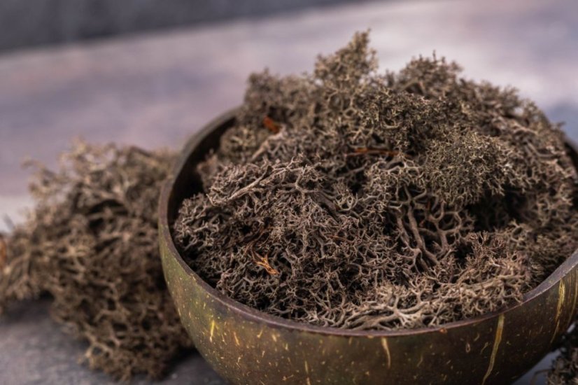 Mușchi stabilizat - lichen - Maro - Greutate: 1kg