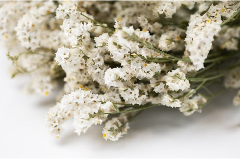 Stabilizált Limonium virág - Fehér