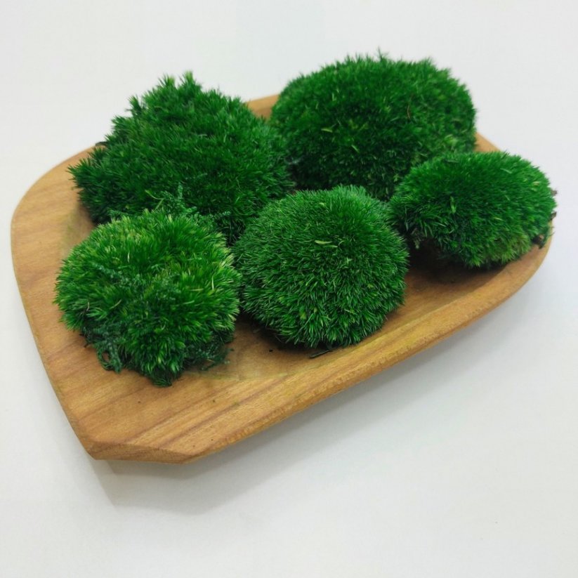 Muschio sferico Mini - Verde bosco - Confezione 0,15 m2