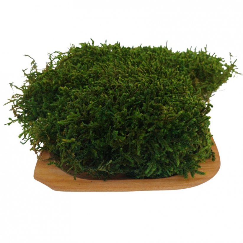 Plochý mech - Přírodní zelená PREMIUM - Hmotnost: cca 2kg (1,5m²)