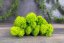 Mușchi stabilizat curățat - lichen - Verde măr - Finlandez - Greutate: 100g