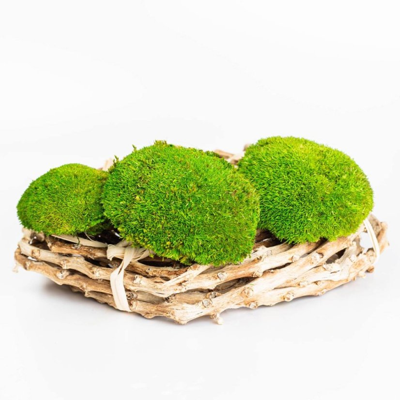 Mușchi de deal - "Broască țestoasă" Mini - Verde deschis - Ambalaj 0,15m2