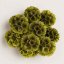 Flori stabilizate Scabiosa – Verde măsliniu