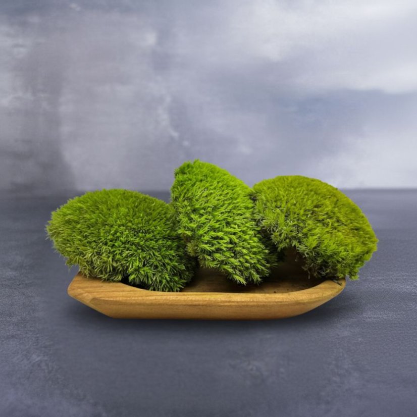 Kugelmoos - Wiesengrün - Bereich: 1,3 m²