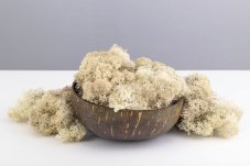 Stabiliziran mah - lišaj - Naravni
