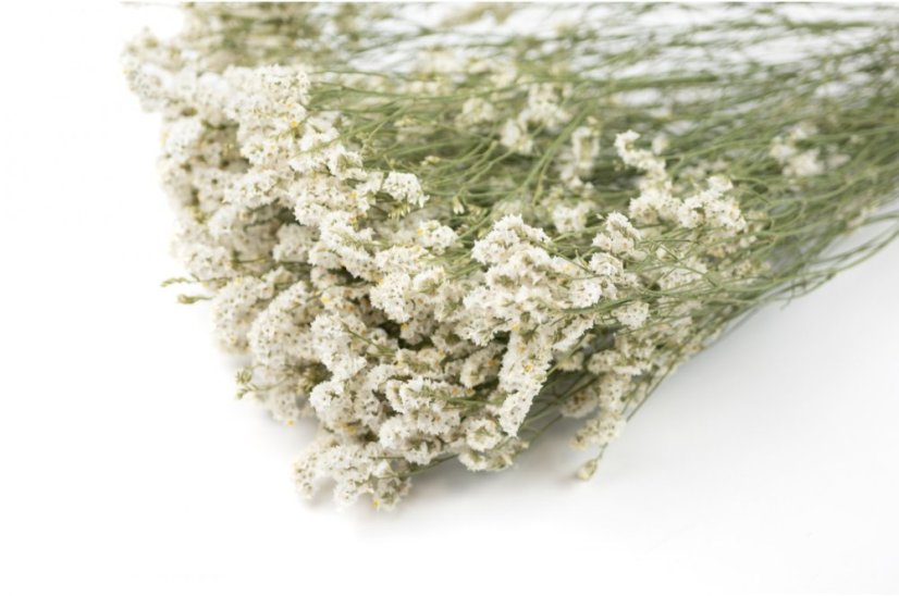 Stabilizált Limonium virág - Fehér