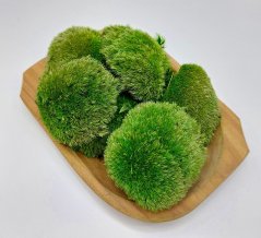 Kopčekový mach Mini - Jarná zelená - Balenie 0,15m2