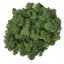 Muschio stabilizzato - lichene - Verde scuro - Peso: 500g