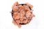 Muschio stabilizzato - lichene - Rosa antico - Peso: 5kg