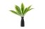 Mű sansevieria