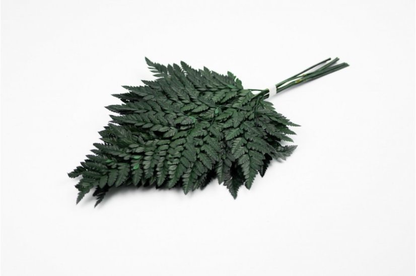 Stabilisierter Leather-Farn - Stückzahl: 1St