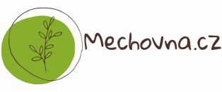 Stabilizovaný plochý mech - Flat moss - Skladem :: Mechovna.cz