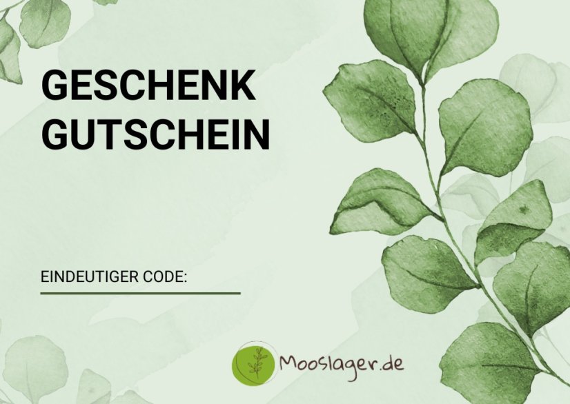 GESCHENKGUTSCHEIN - Wert: 75€