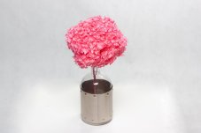 Stabilisierte Hortensie - Rosa