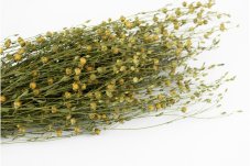 Getrockneter Flachs - Natürliches Grün