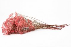 Stabilizált Gypsophila virág - Halvány Rózsaszín