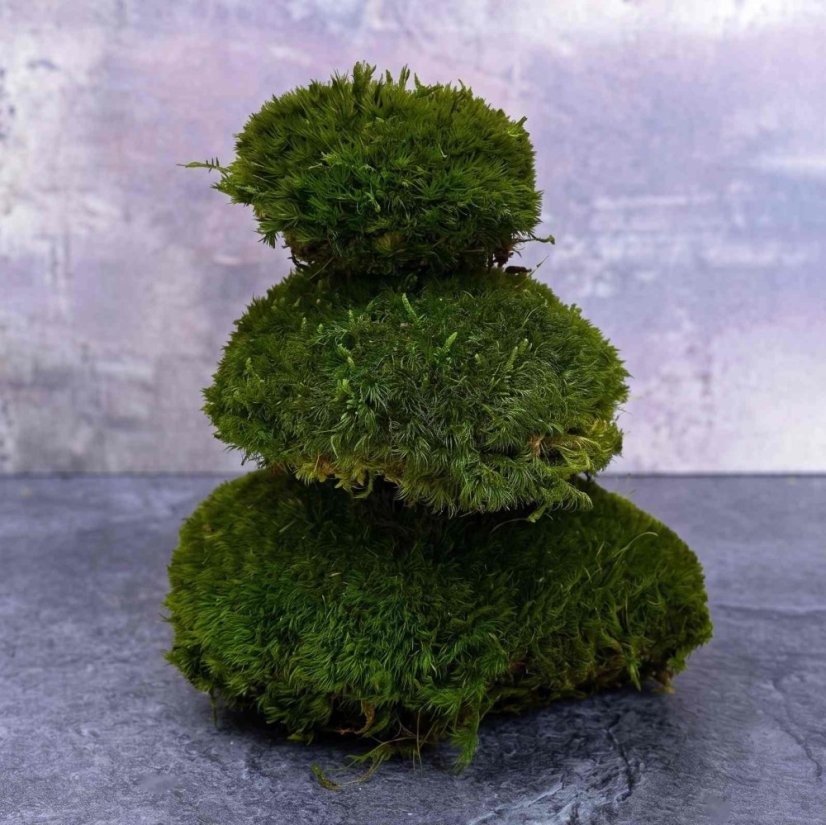 Gömbmoha - "Sündisznó" - Természetes zöld - Terület: 0,7m² (100x70cm területet fed le)