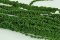 Stabilisierter Amaranth - Mittelgrün - Größe: Bündel (120-150g)