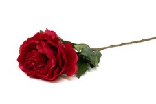 Peonia artificiale - rossa