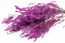 Stabilisiertes Heidekraut - Magenta