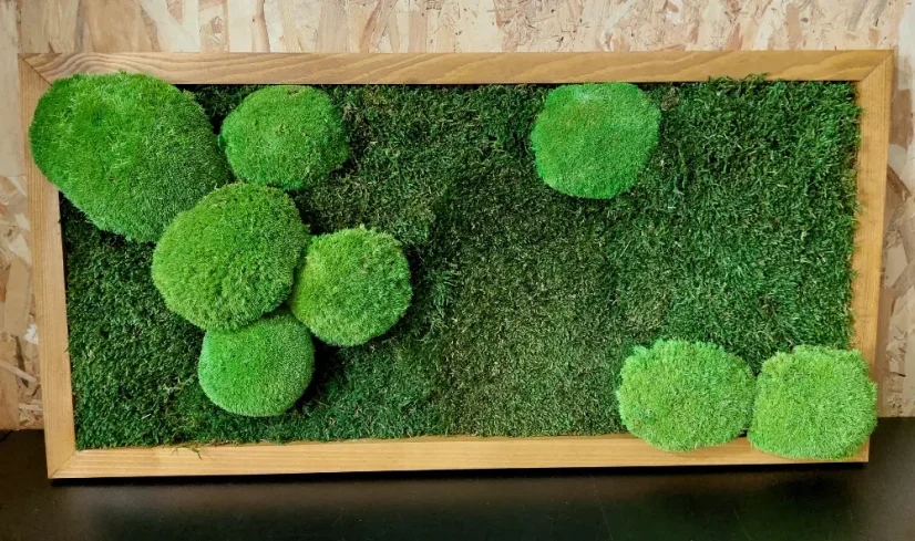 Geschenkset zur Herstellung von Moosbild - Flach- + Kugelmoos - 80x40cm - Rahmenfarbe: Ebenholz (Schwarz)