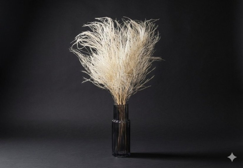 Stabilizovaná okrasná tráva "Tiki" - Bílá