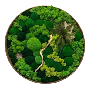 Muschioshop.it – Muschio stabilizzato e accessori per quadri di muschio fai-da-te