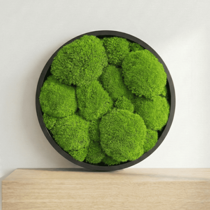 Machový obraz kruh - kopčekový mach - Priemer: 30cm