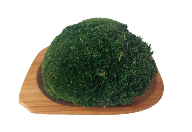 Kopčekový mach - "Korytnačka" - Prírodná zelená - Plocha: 1ks (pravidelný tvar 10-12cm)